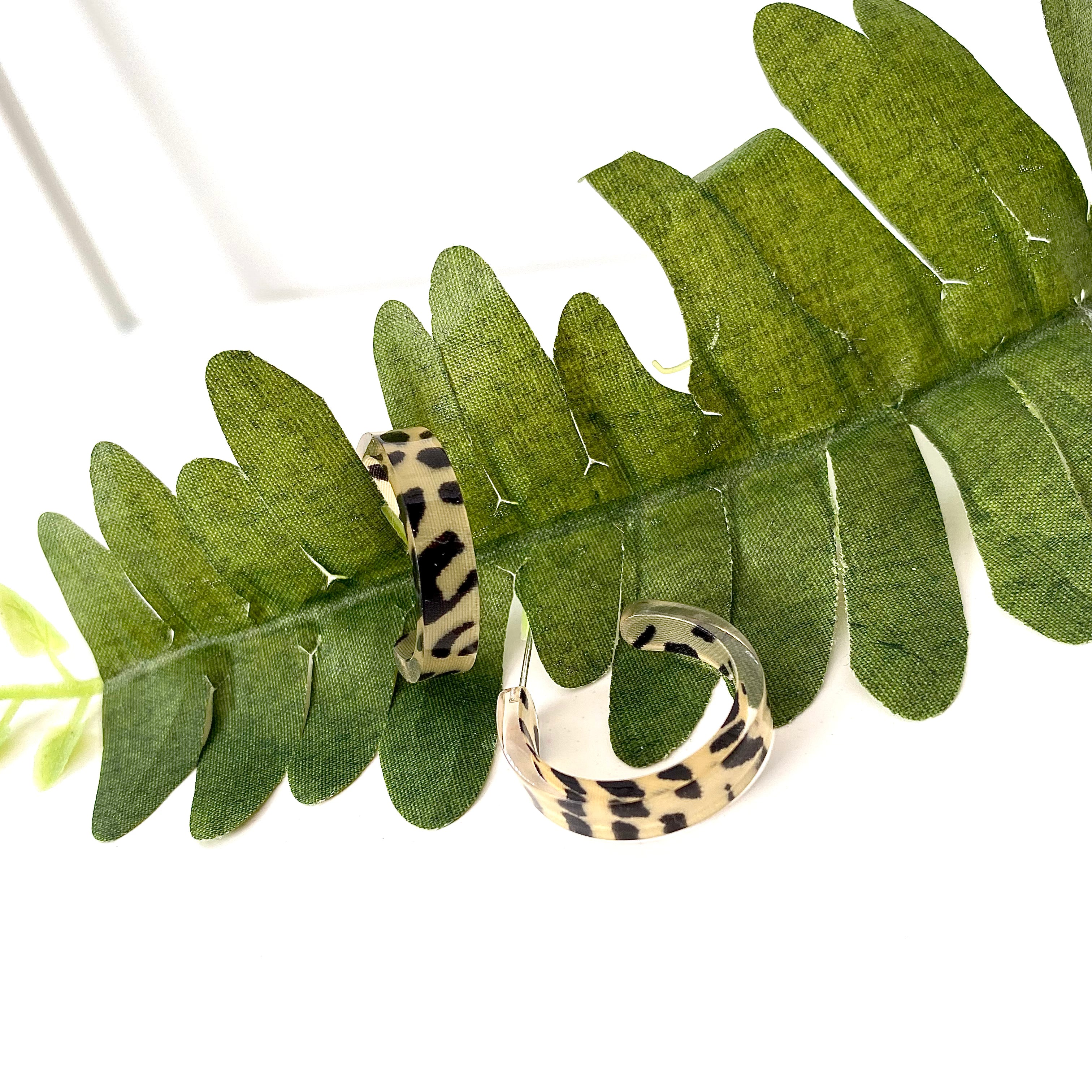 “Big Cat”- Small Hoops