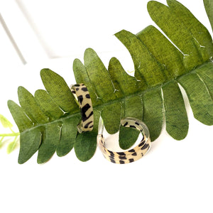 “Big Cat”- Small Hoops